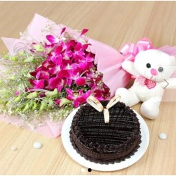 Cuddly Choco Odyssey