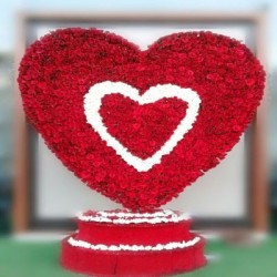 Heart Shape Arrangement of 2000 Roses
