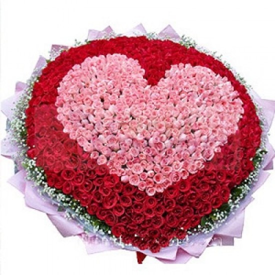 Say I Love You with 500 Roses