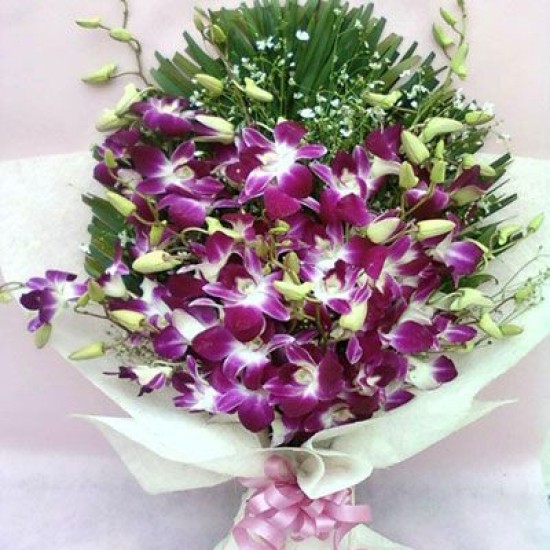 Stem Purple Orchids