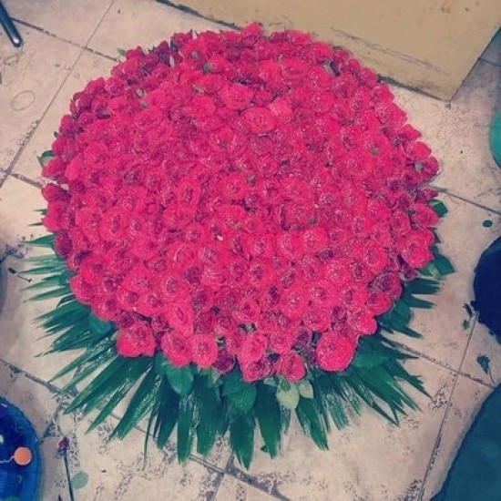 Unfathomable love ( 350 Roses)